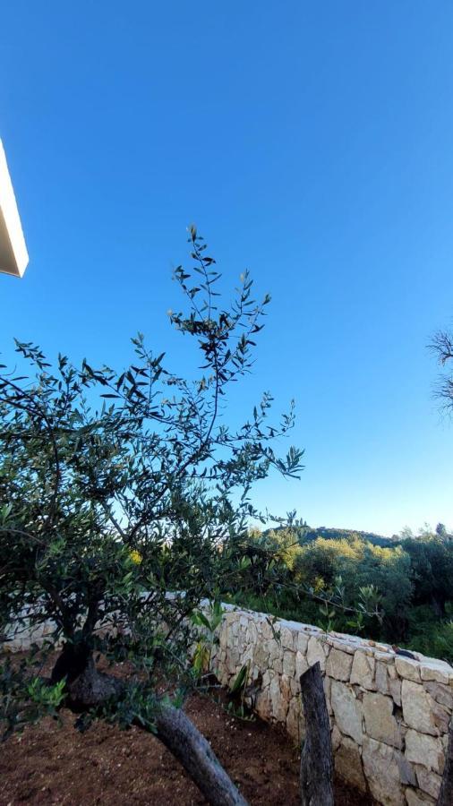 Sweet Home Himara Exterior foto